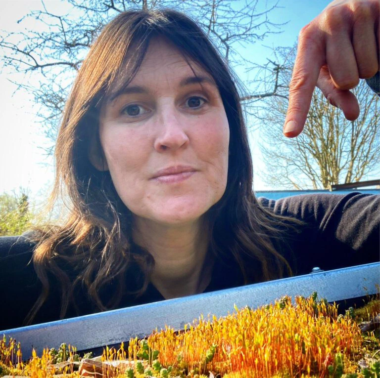 Einführung des Schwammstadtprinzips in Tornesch