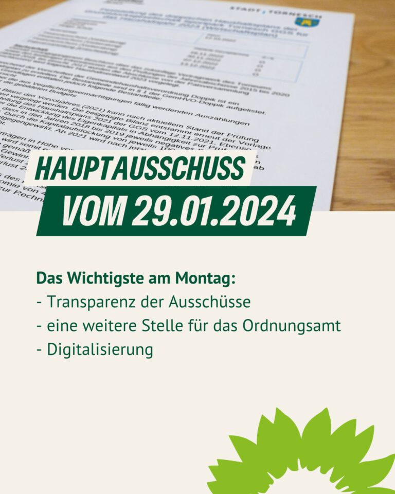 Hauptausschuss am 29.01.