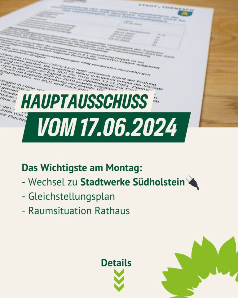HAUPTAUSSCHUSS VOM 17.06.2024