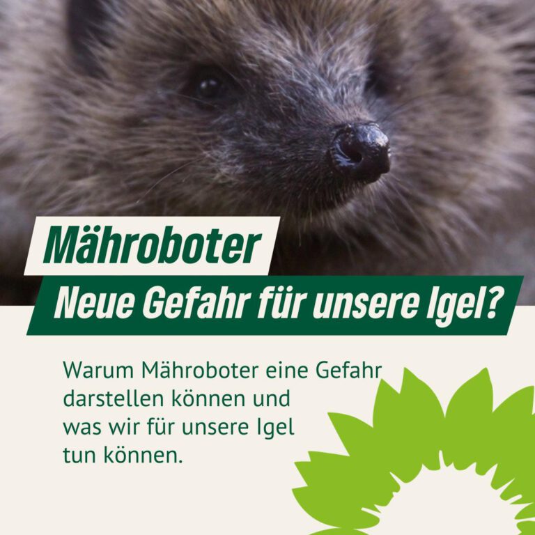 Mähroboter – die neue Gefahr für unsere Igel?