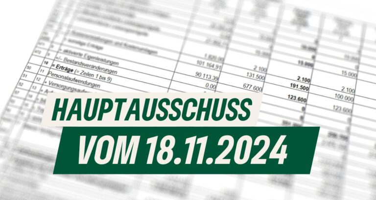 Hauptausschuss 18.11.2024