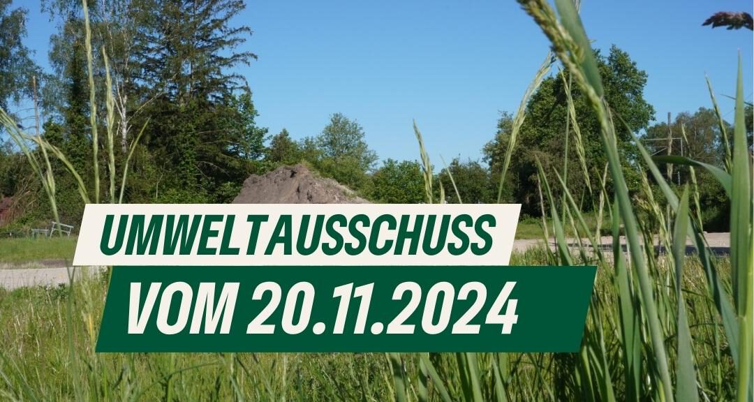 Umweltausschuss vom 21.11.2024 - Keine Aufhebung von Kfz-Sperrung 🛑 - Pflege von Naturdenkmälern 🌳 - Förderung von privatem Baumbestand 💰 - Umgestaltung des Bahnhofsumfeldes - Stand Tornescher Wärmeplanung 🌡️