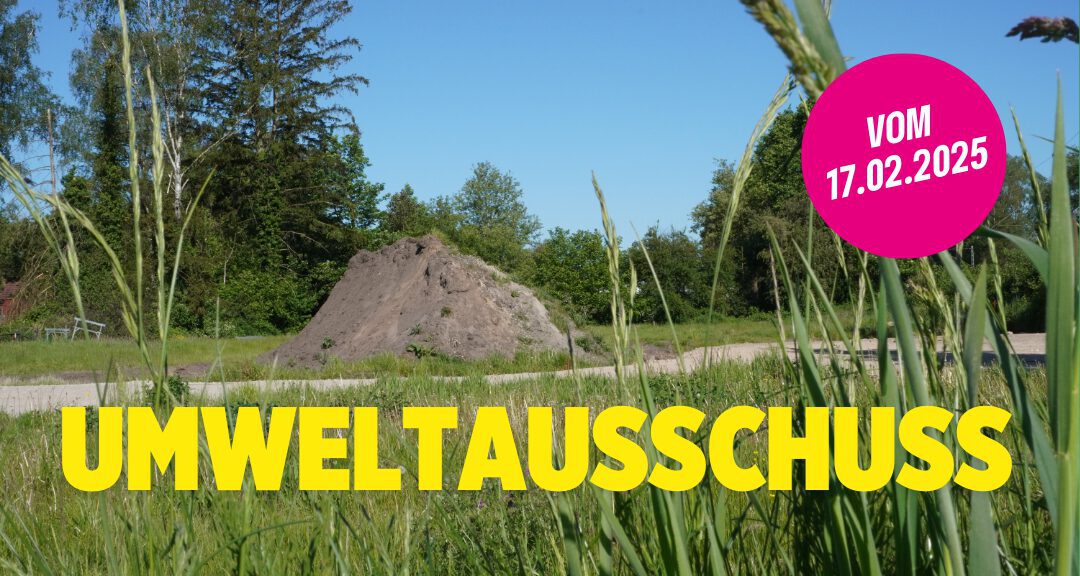 Das Wichtigste - Grüner Antrag: „Vernetzte Wege“🚶 - Status Quo: Meldorfer Papierfabrik🏭 - Ausstieg Aktion „Unser sauberes Schleswig-Holstein“🚯